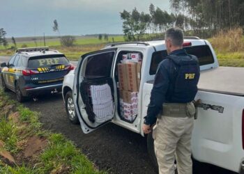 PRF apreende caminhonete carregada com cigarros paraguaios, em Nova Esperança
