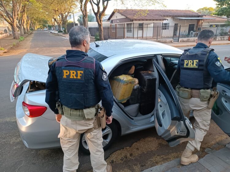 PRF apreende mais de meia tonelada de maconha em Nova Esperança