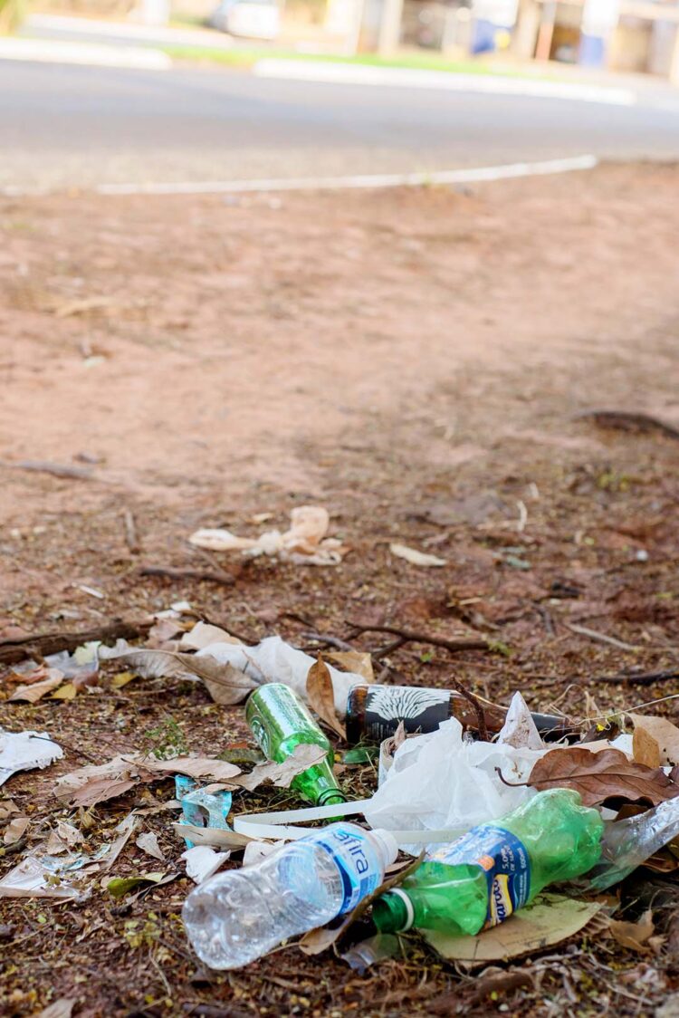 Regional de Saúde reforça apelo: combate à dengue deve ser feito agora