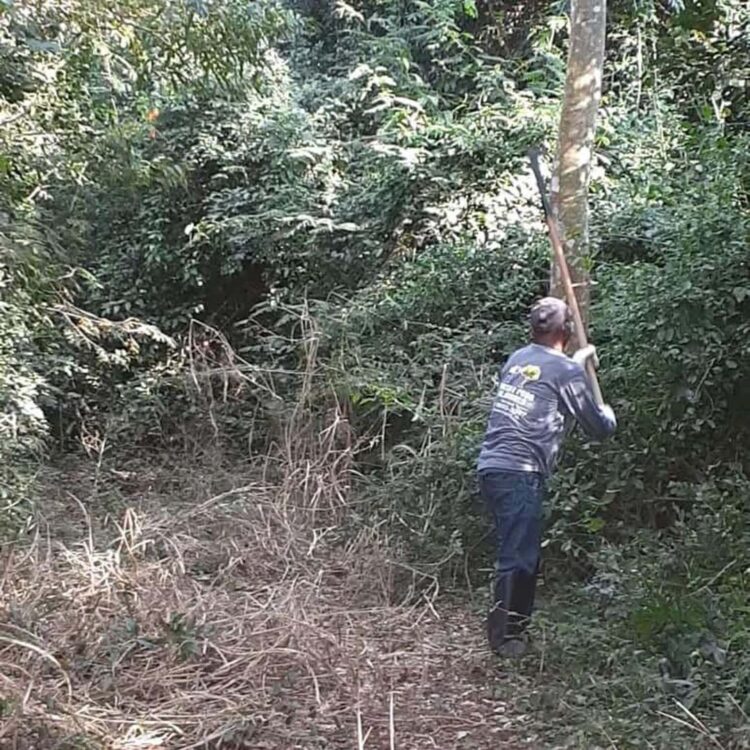 Querência do Norte realiza manutenção em suas Unidades de Conservação