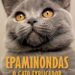 Oito livros para conhecer no Dia do Filósofo