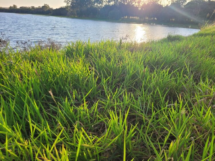 Município intensifica conservação de pontos de recursos hídricos