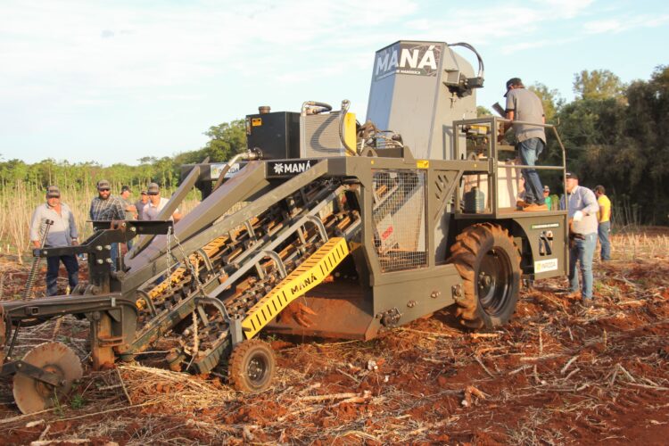 Mandiocultores buscam alternativas para falta de mão de obra no campo