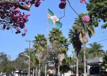 Com salário de até R$ 11 mil, Prefeitura de Nova Londrina abre inscrições para concurso público