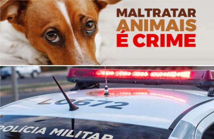 Pedreiro é preso por agredir cachorro no Jardim Oásis, em Paranavaí