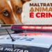 Pedreiro é preso por agredir cachorro no Jardim Oásis, em Paranavaí