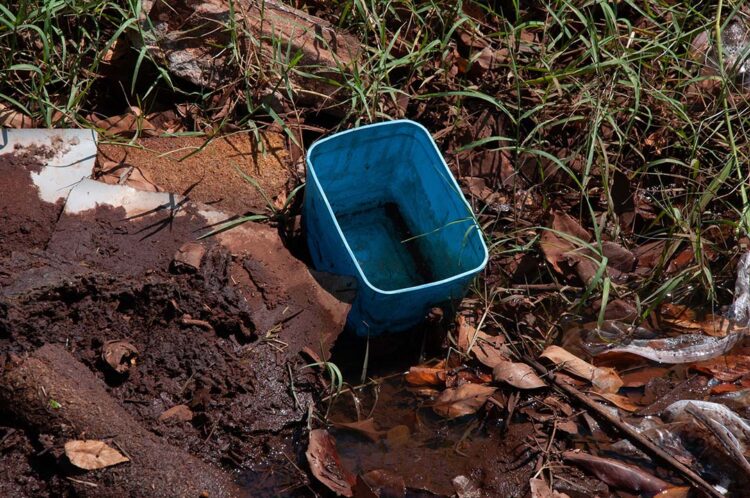 Morte por dengue preocupa, e Prefeitura  deve intensificar fiscalização em imóveis