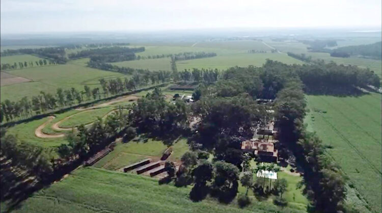 Propriedade paranaense tem redução de custos na  agricultura e alta produtividade na pecuária com ILPF