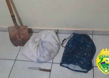 Homem furta residência, tenta fugir, e é contido pela própria vítima