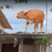 Vaca é resgatada de telhado em cidade do RS após enchente