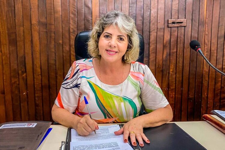 Vereadora propõe criação do Projeto de Prevenção da Violência Doméstica