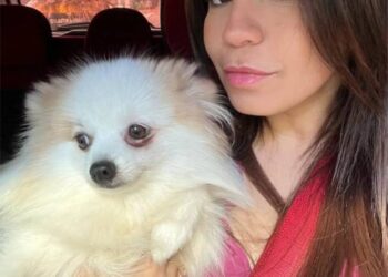 Espaço PET 29/09 a 02/10