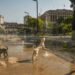 Verão no Brasil deve ter recorde de calor e pouca chuva