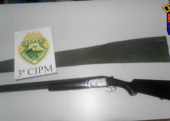 Polícia Militar atende ocorrência de violência doméstica e apreende arma de fogo