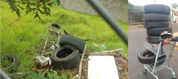 Guarda Municipal intervém em descarte irregular de pneus