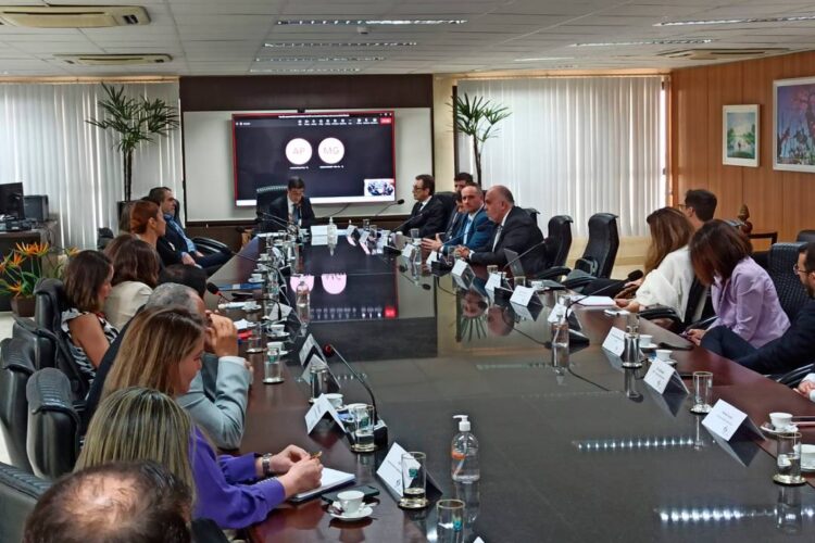 Comissão do Paraná discute políticas  antimanicomiais com representantes do CNJ