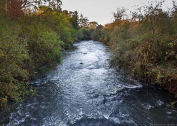 Sesc PR realiza mobilização para  limpeza de rios e praias em 25 cidades