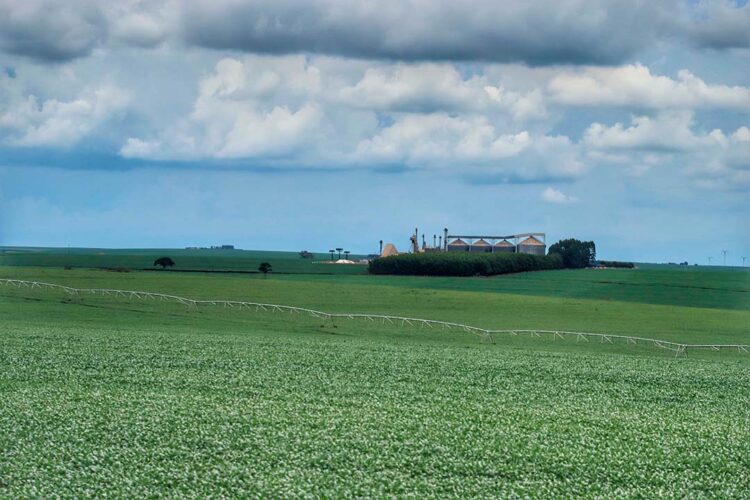 PIB do Paraná cresce 8,6% no primeiro semestre,  mais que o dobro da média nacional