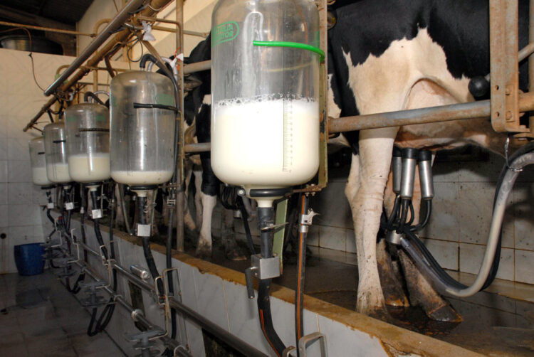 Zeca Dirceu solicita investigação da sobre importações de leite em pó