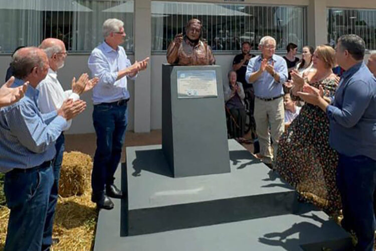 Dia do Plantio Direto celebra técnica revolucionária para a agricultura sustentável