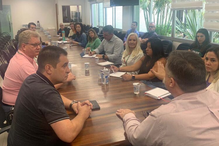 Gestores da Saúde definem ações para reforçar atendimento a cidades afetadas pelas chuvas