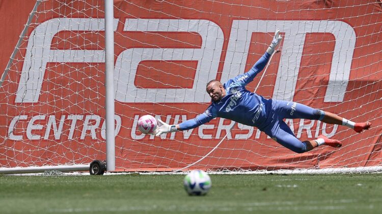 Palmeiras mexe com elenco e trabalha  para atingir duas metas no Brasileirão