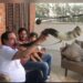 Canal 1 Quarta-feira – 01/11/2023