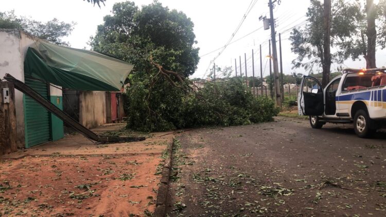 Equipes da Defesa Civil trabalham durante toda a madrugada após tempestade em Paranavaí