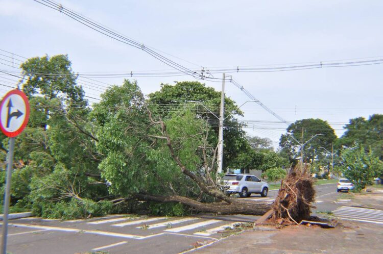 Limpeza após temporal garante 100% de desobstrução das vias públicas de Paranavaí