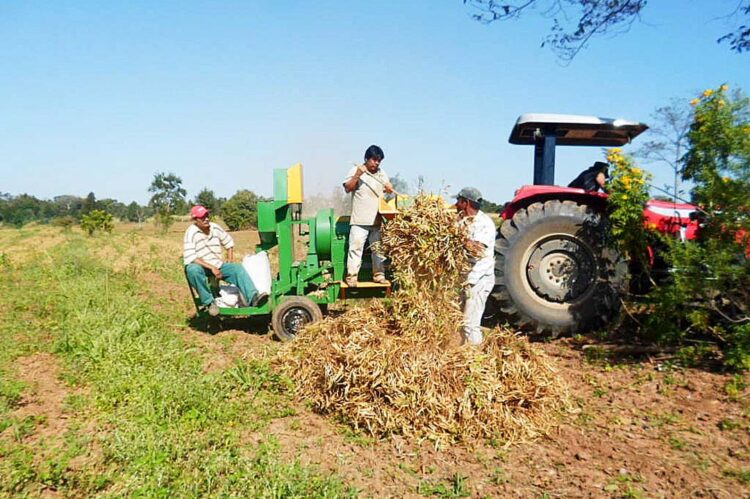 Assistência técnica abre mercado para alimentos de comunidade indígena