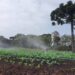 Prêmio Orgulho da Terra valoriza uso de tecnologias na agropecuária paranaense