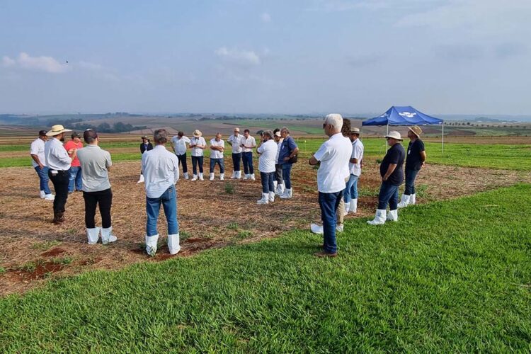 Produtores que adotam manejo integrado de  pragas reduzem em 53% o uso de inseticidas