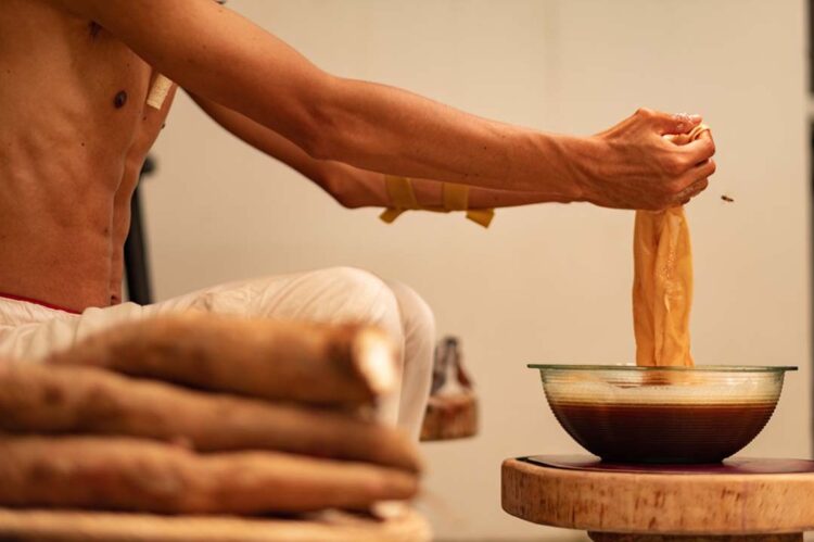 Corante natural com raspas de mandioca é destaque