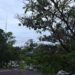 Chuva e temperaturas amenas marcam fim de semana em Paranavaí