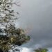 Acumulado de chuva em Paranavaí  supera média histórica para o mês