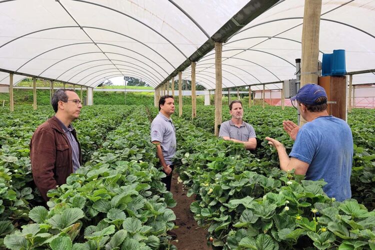 Projeto de pesquisa vai testar tecnologia  para reduzir perda de água na irrigação