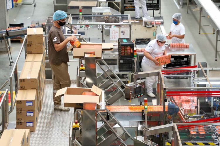 Taxa de desemprego segue em queda  e chega a 4,6%, a 5ª menor do País