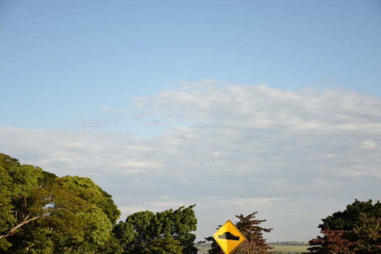 Previsão do tempo indica fim de semana de sol em Paranavaí