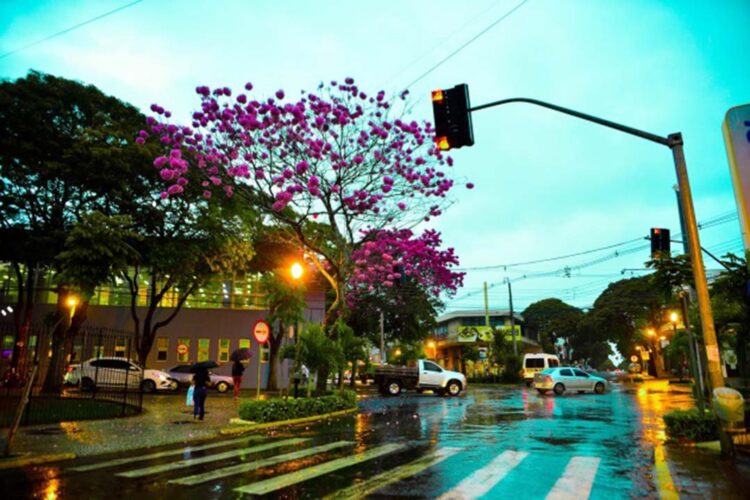 Município divulga pontos de vendas credenciados do Pare Fácil