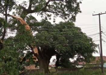 Trabalho da Copel avança em todo Paraná para restabelecer energia após temporais