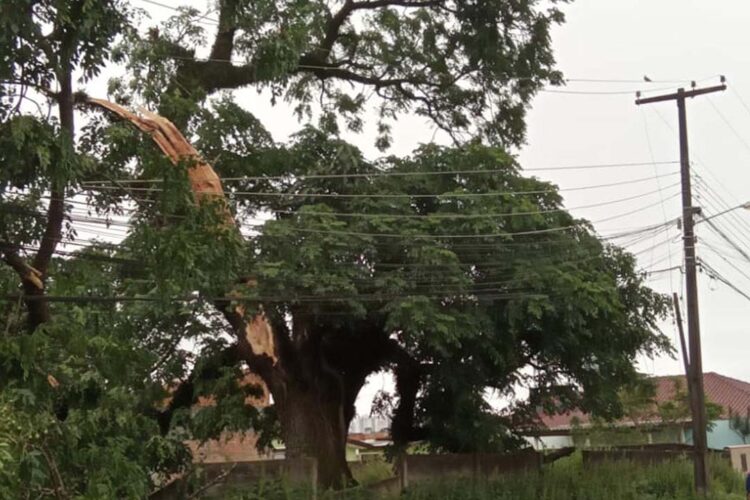 Trabalho da Copel avança em todo Paraná para restabelecer energia após temporais