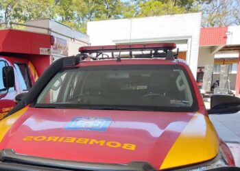 Mulher fica ferida após ser atingida por galho de árvore na Avenida Gabriel Esperidião