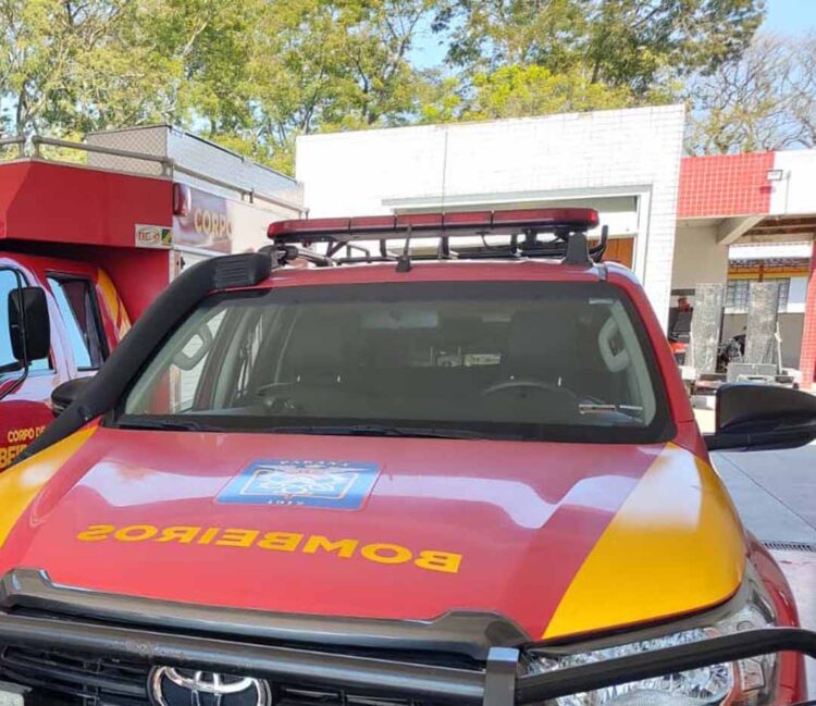 Mulher fica ferida após ser atingida por galho de árvore na Avenida Gabriel Esperidião