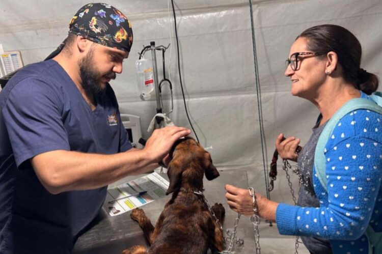 Quarto ciclo do programa Castrapet vai chegar a 165 cidades de todas as regiões em 2024