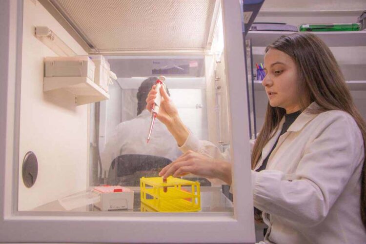 Estado libera R$ 34 milhões para fomento de ecossistemas de ciência, tecnologia e inovação