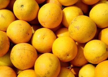 Paraná reforça orientações para combater o greening na citricultura