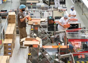 Taxa de desemprego segue em queda e chega a 4,6% no Paraná, 5ª menor do País