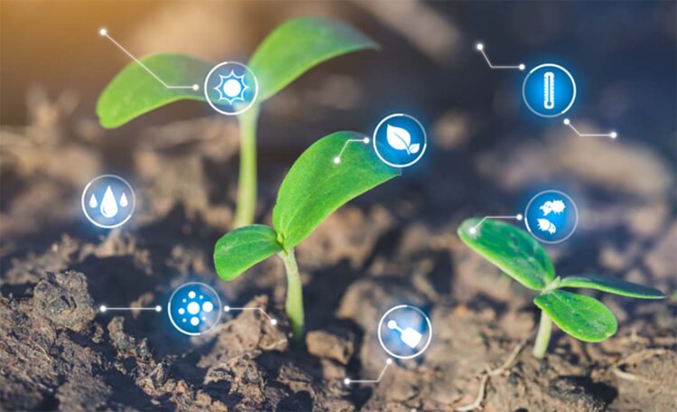 Aplicação do crédito rural chega a  R$ 217 bilhões em cinco meses