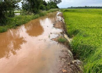 Boletim do IDR-Paraná detalha El Niño  em novembro e volume de chuva sobre o campo