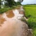 Boletim do IDR-Paraná detalha El Niño  em novembro e volume de chuva sobre o campo